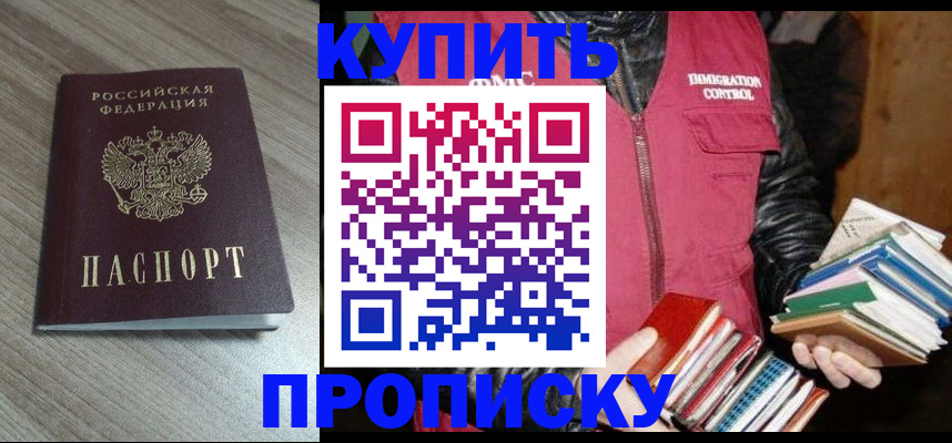 прописка 2025 в Реутове